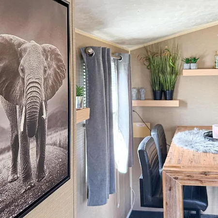 Amazing In With Wifi