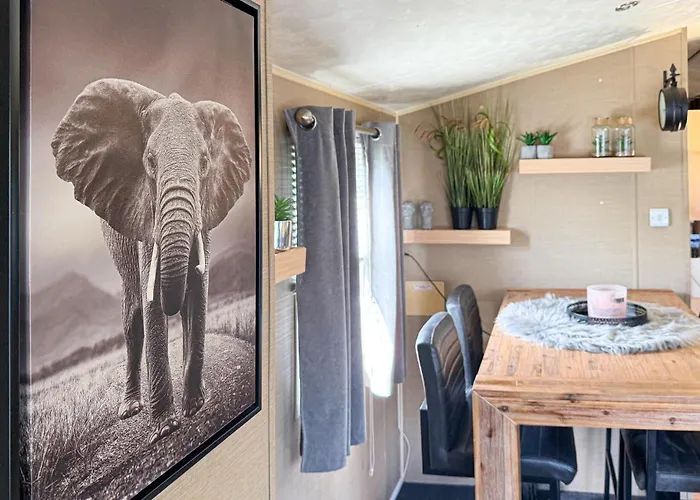 Amazing In With Wifi